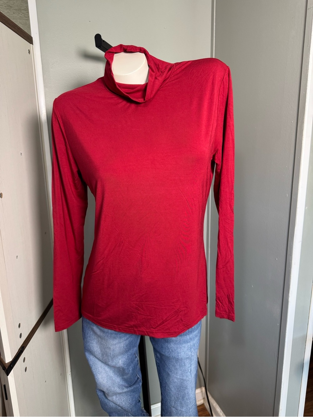 Aleeza Paris Model Turtle Neck Top In Berry Never Worn Just washed and hung up
